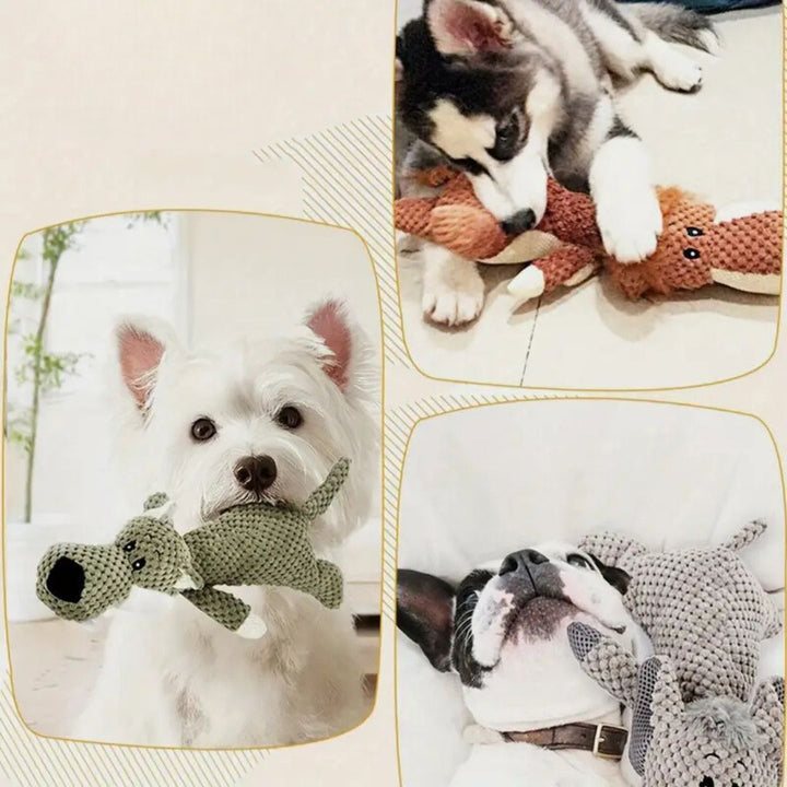 Robust hundleksak för långvarig tugglädje. Perfekt för tandvård hund, hållbar och giftfri.