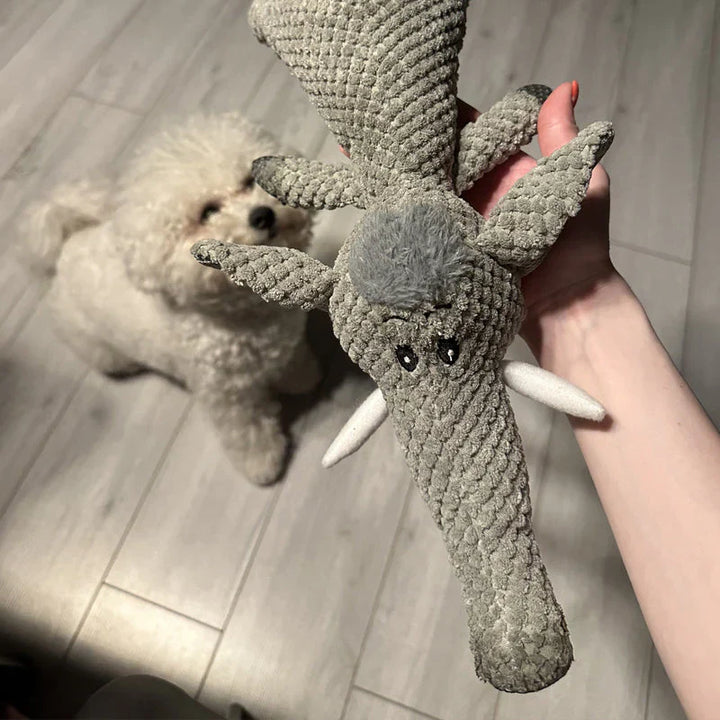 Hund som leker utomhus med en robust hundleksak. Tålig aktivitetsleksak för all typ av väder.