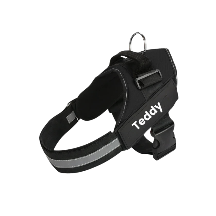 Robust hundsele med handtag för säkerhet & komfort. Anpassa med hundens namn för en personlig touch.