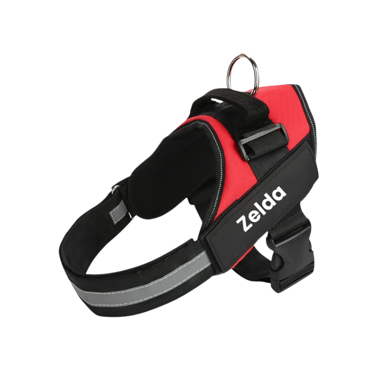 Bekväm antidrag-hundsele för säkra promenader. Ergonomisk design minskar drag & ökar hundens komfort.