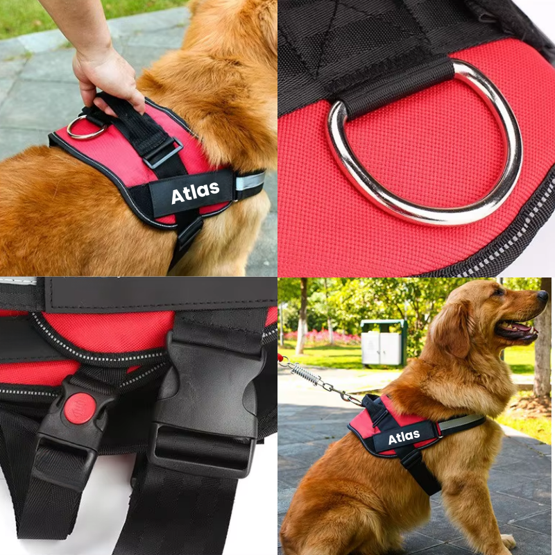Högkvalitativ hundsele med handtag, byggd för hållbarhet & hundens välbefinnande. Ett säkert hundtillbehör.