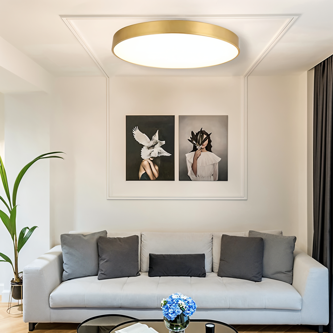 Modern rund LED taklampa för vardagsrummet, skapar stilren och behaglig belysning.