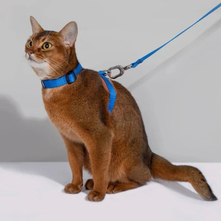 Slitstark kattsele & koppel i andningsbart material för maximal komfort under kattpromenaden.