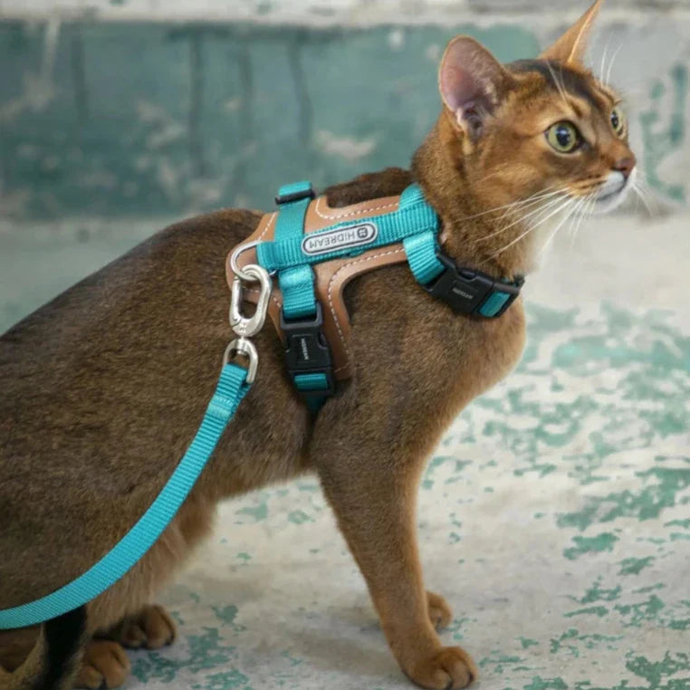 Säkerhetssele för katt med koppel, rymningssäker och justerbar för alla kattraser.