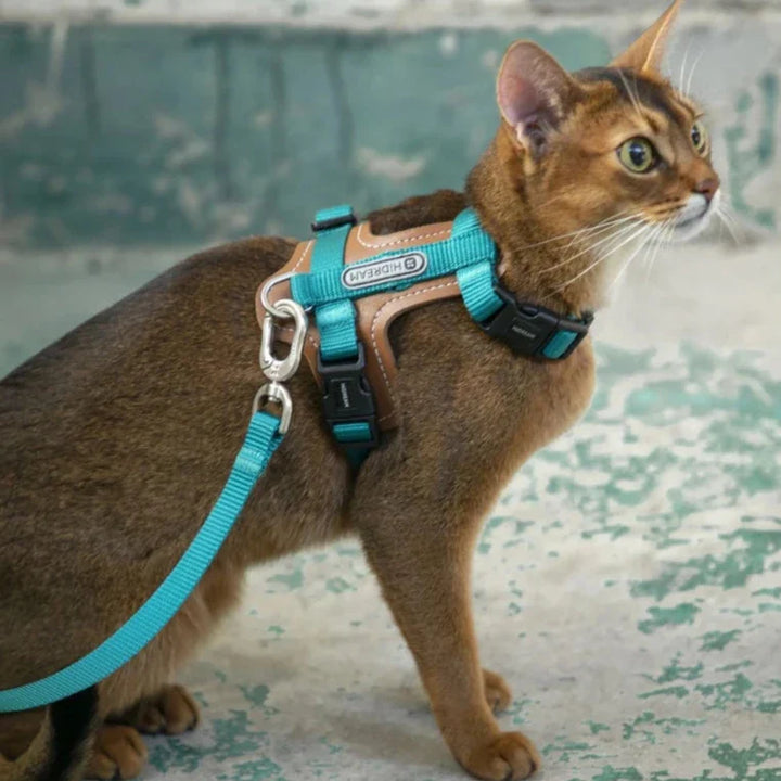 Säkerhetssele för katt med koppel, rymningssäker och justerbar för alla kattraser.