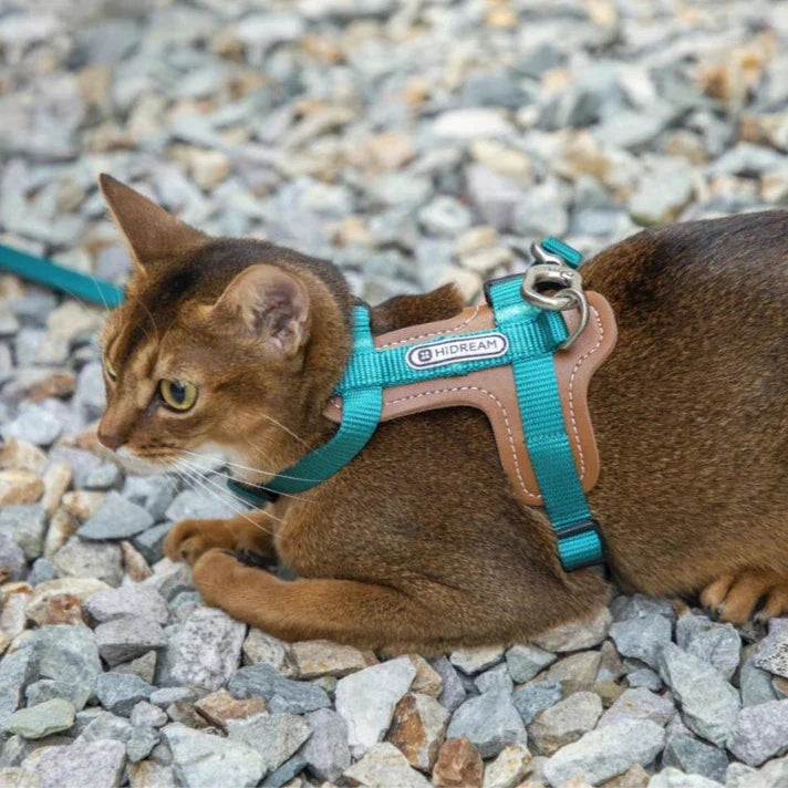 One size kattsele med koppel, perfekt för växande kattungar och vuxna katter.