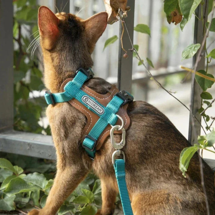 Trygghet & frihet för din katt med rymningssäker sele & koppel för säkra utomhusupplevelser.