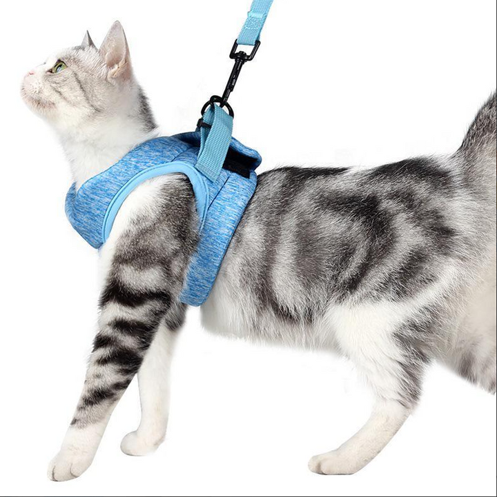 Säker & bekväm kattsele med koppel för trygga promenader. Djurkomfort & säkerhet.