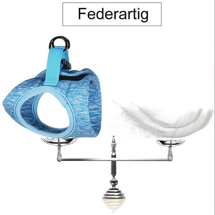 Justerbar, andningsbar kattsele för optimal komfort under kattpromenaden. Djurtillbehör.