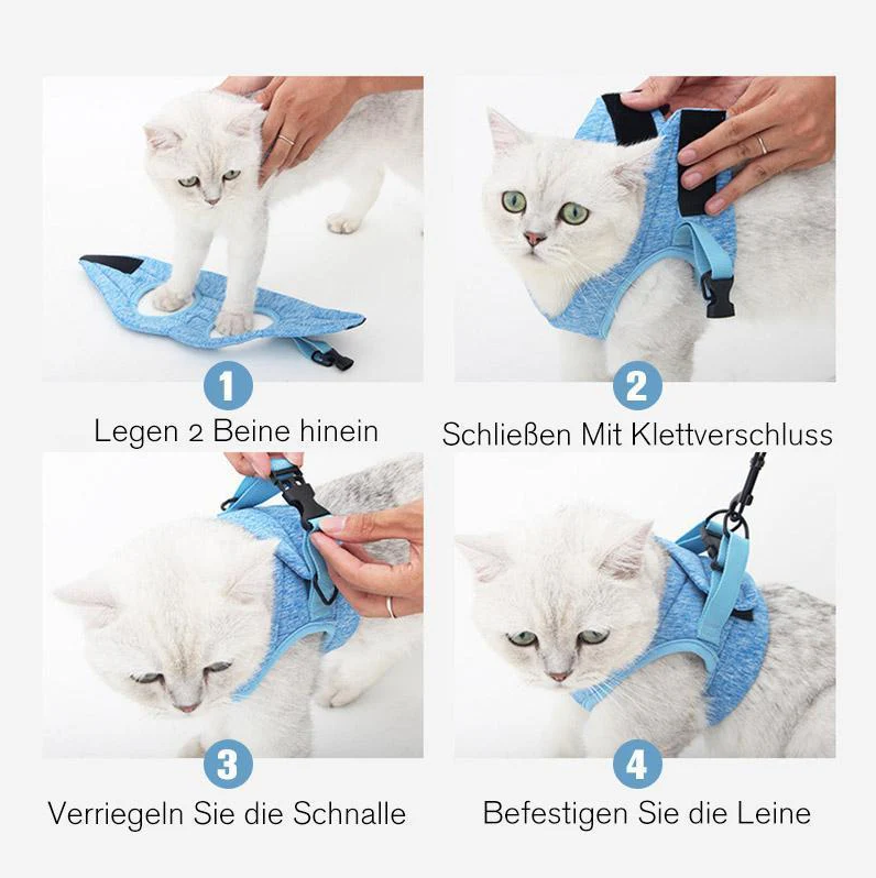 Komplett set: Ergonomisk kattsele & matchande koppel för säker kattpromenad. Husdjur.