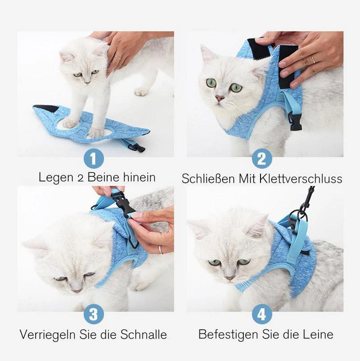 Komplett set: Ergonomisk kattsele & matchande koppel för säker kattpromenad. Husdjur.