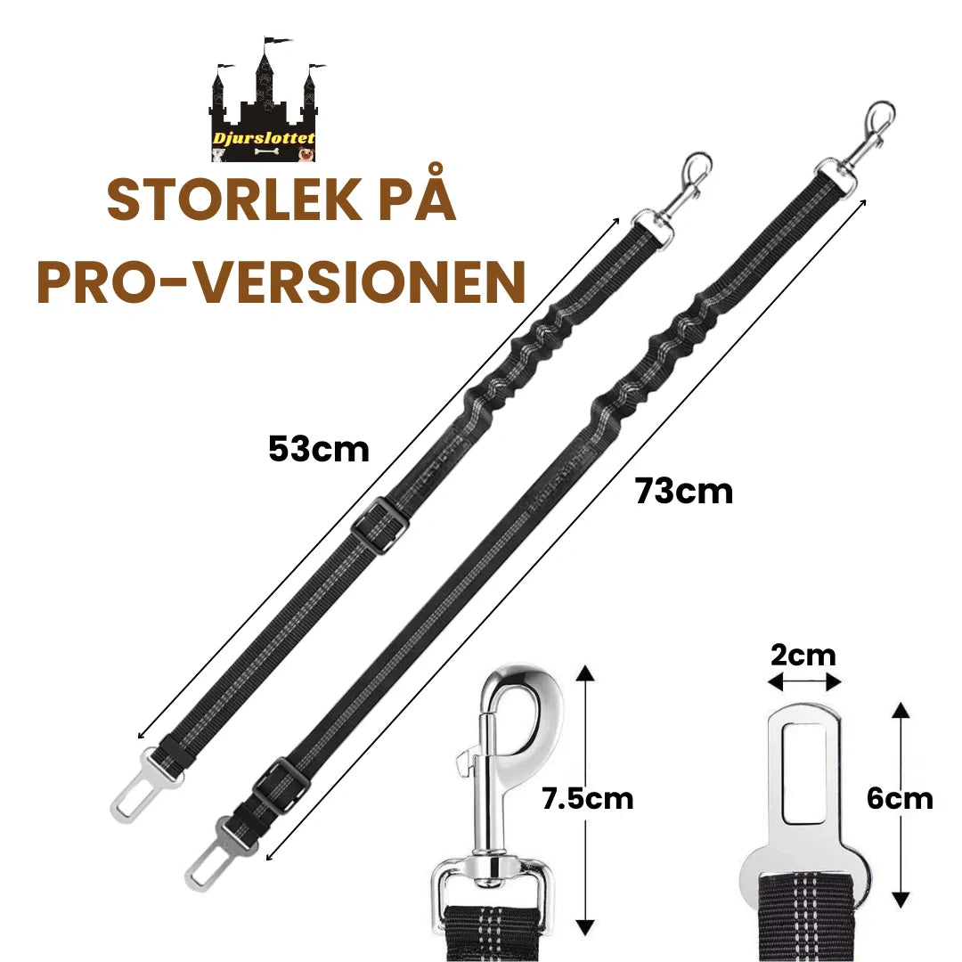En hund säkrad med ett säkerhetsbälte i baksätet, redo för en trygg bilresa.