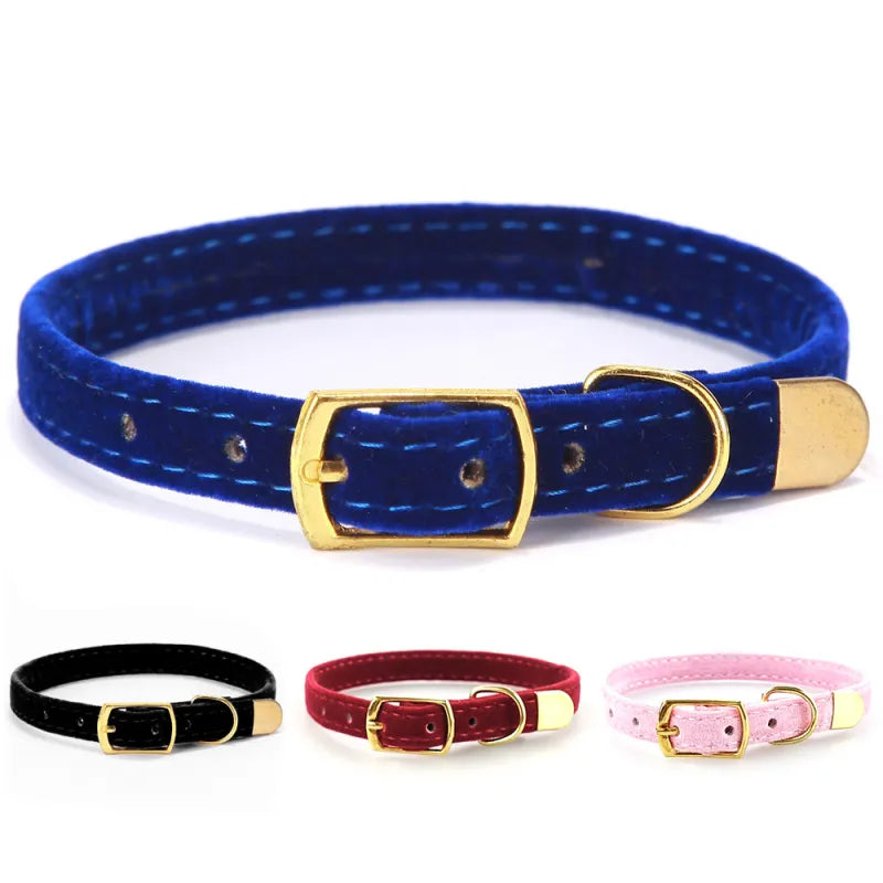 Lyxigt katthalsband i sammet med glänsande guldspänne. Elegant accessoar för husdjur i premiumkvalitet.