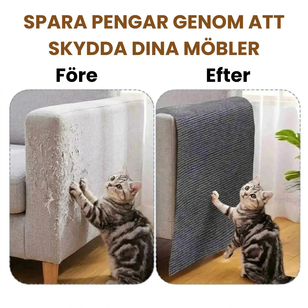 Katt njuter av reptålig, självhäftande klösmatta på vägg. Idealisk klösbräda & väggskydd för katt.
