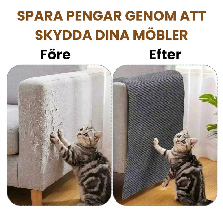 Katt njuter av reptålig, självhäftande klösmatta på vägg. Idealisk klösbräda & väggskydd för katt.