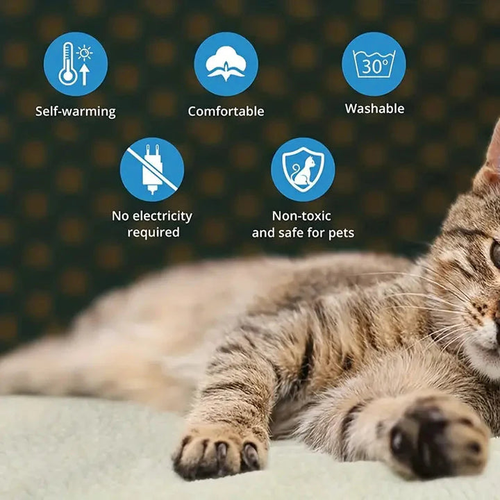 Ge din katt & hund värme med denna självuppvärmande värmedyna. Perfekt djurtillbehör.