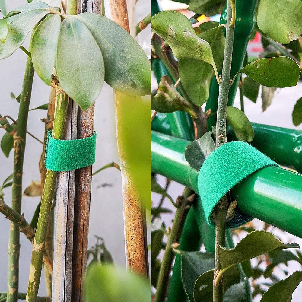 Självhäftande nylon kablageband i blått för kabelhantering och organisering i hem och kontor, justerbar längd.