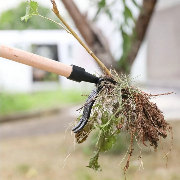 Ogräsborttagningsverktyg i arbete som drar upp ogräs med rötterna