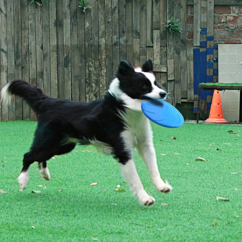 Slitstark hundfrisbee för aktiv lek och träning. Perfekt kastleksak för utomhusnöje med din hund.