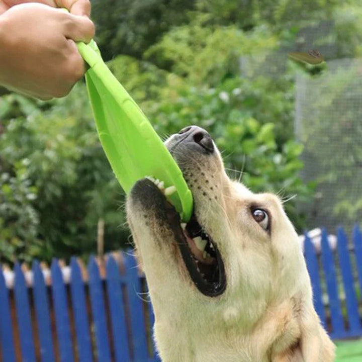 Ergonomisk hundfrisbee för skonsam men effektiv träning och lek. Perfekt för utomhusaktiviteter.
