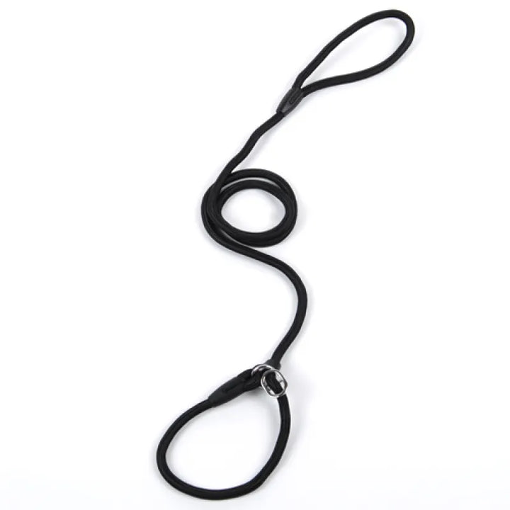 Allsidigt hundkoppel med karbinhake, perfekt för träning, vardag och alla hundpromenader.