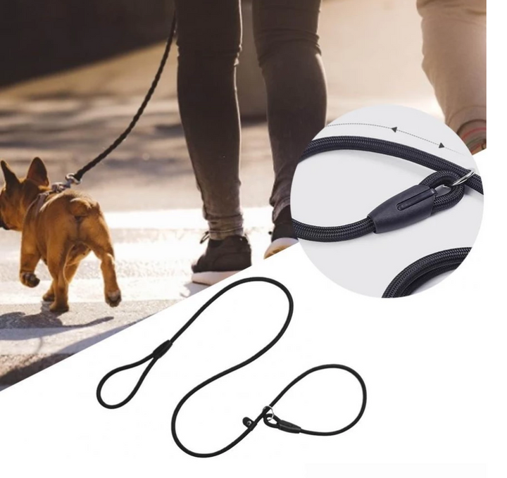 Repkoppel för hund, med stark karbinhake. Perfekt för aktiva utomhusäventyr.