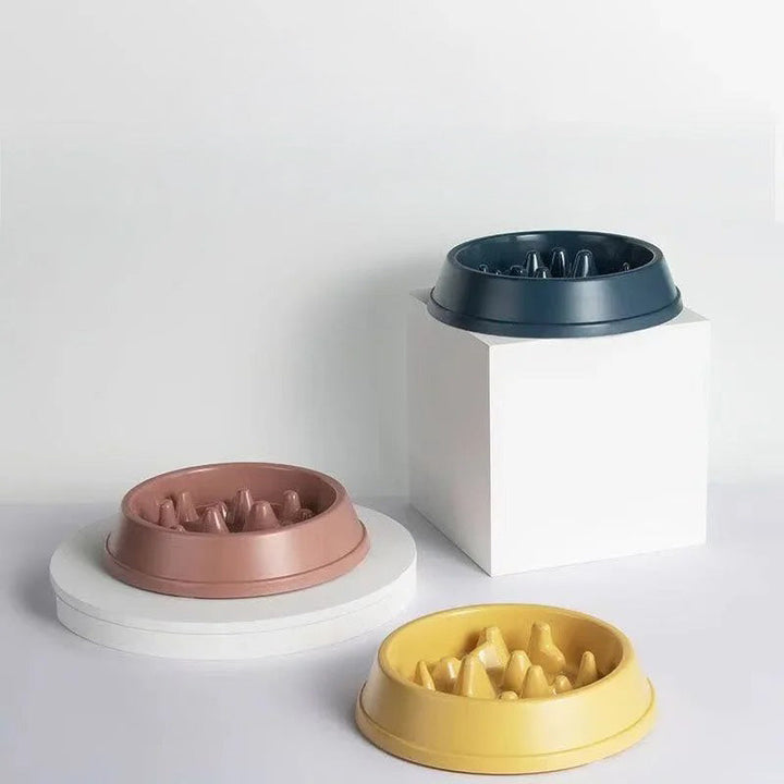 Hundmatskål med innovativ labyrintdesign för att sakta ner hetsätning hos hundar och förbättra matsmältningen.