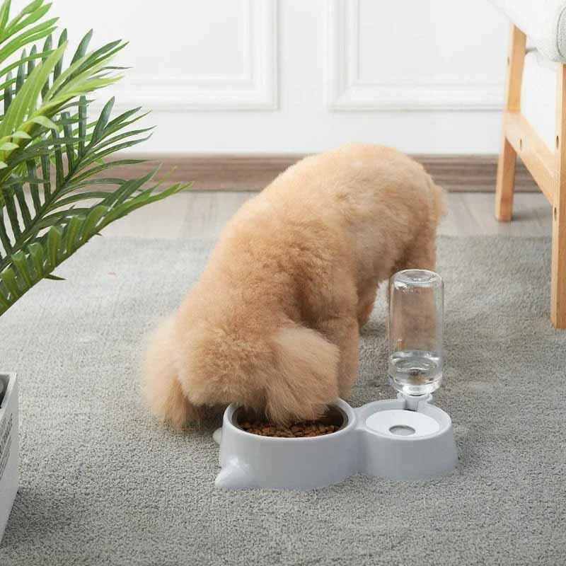 Komplett djurartiklar: Fylld matskål och vattendispenser redo för katt eller hund. Enkel att fylla på.