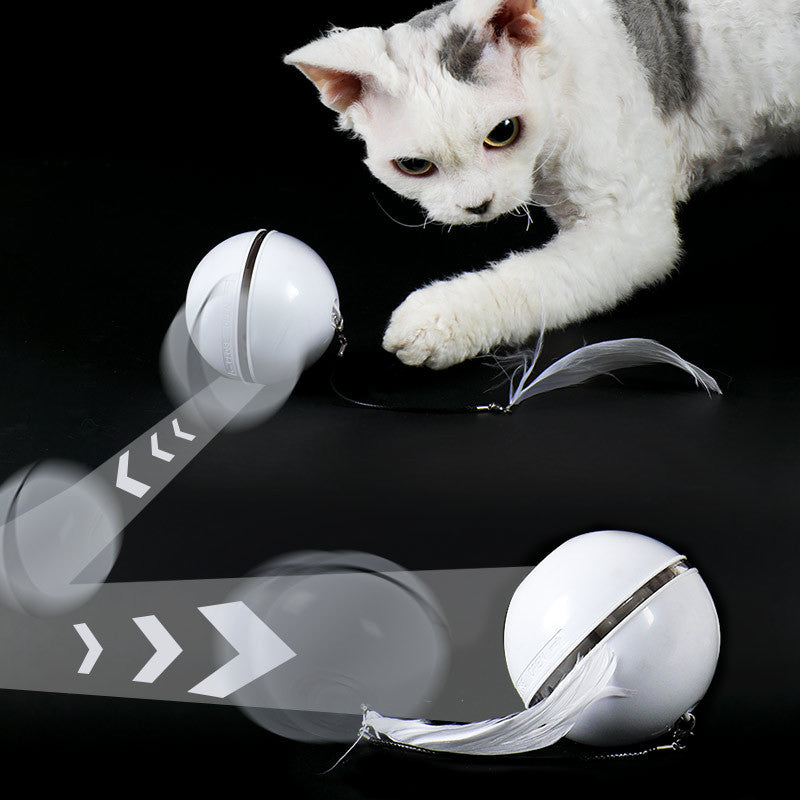 Självgående rullboll som interaktiv kattleksak. Håller din katt aktiv och underhållen med rolig kattaktivitet.