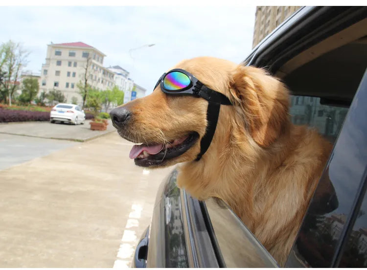 Svarta hundgoggles med justerbar rem, ger optimalt UV-skydd för din hunds ögon. Perfekt hundtillbehör.