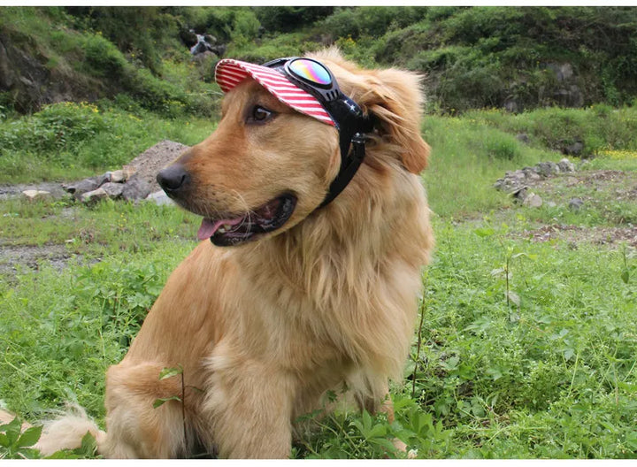 Hundgoggles för mode och funktion. Ger din hund ögonskydd mot UV-strålar. Bästa hundprodukten för sommaren.