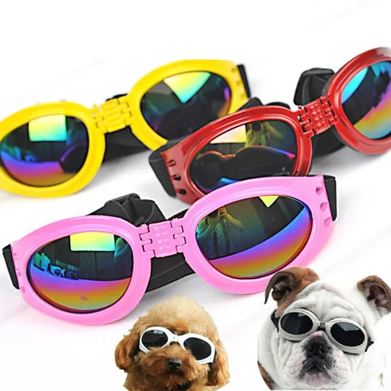Detaljbild på hållbara hundgoggles med UV-skydd, redo för promenader och bilresor i solen.
