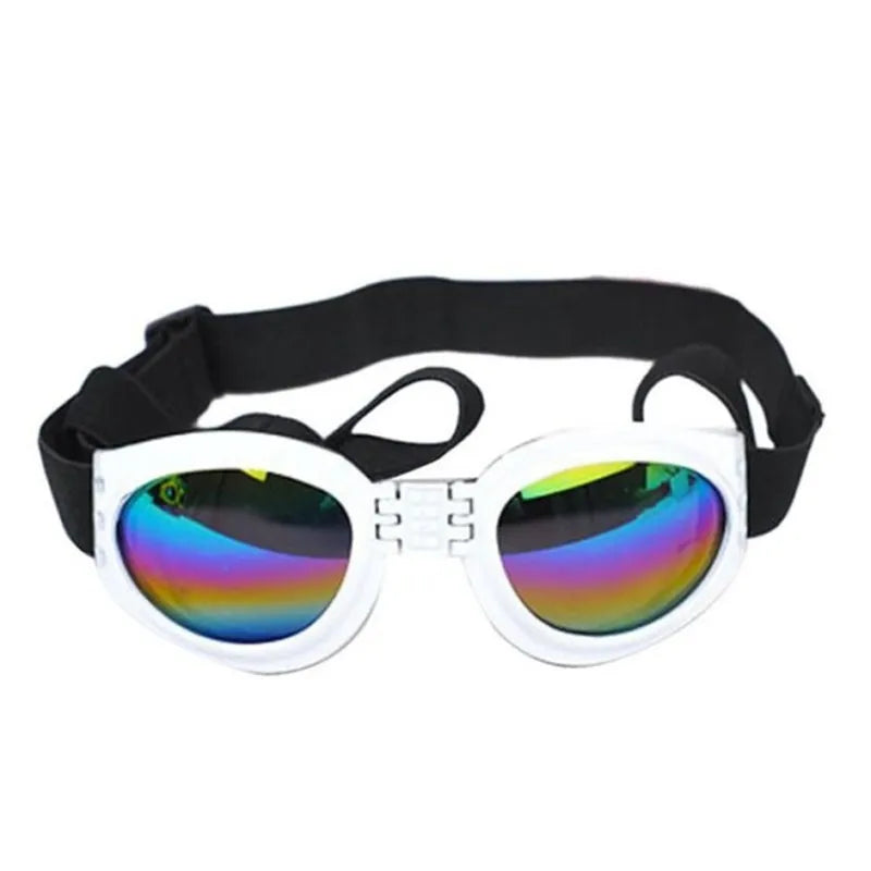 Blå hundgoggles som erbjuder UV-skydd och en cool look. Ett trendigt hundmode-tillbehör för din bästa vän.