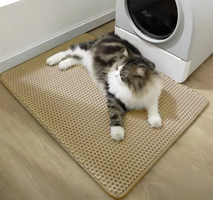 Närbild på struktur som fångar kattströ från tassar