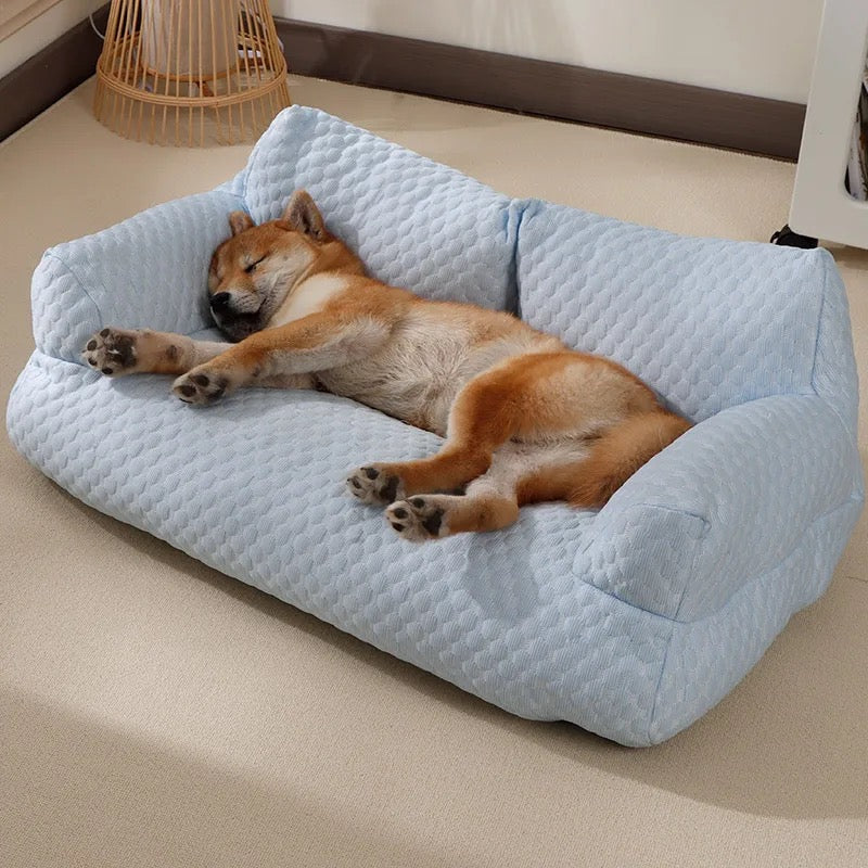 En ljusblå svalkande hundsoffa med en sovande hund på.