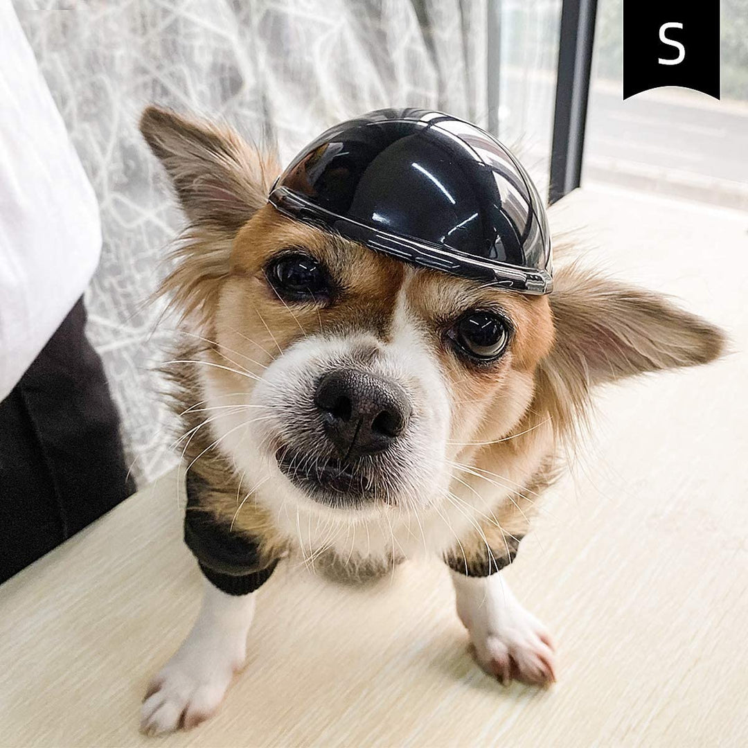 Hållbar skyddshjälm för hund, svart. Ger din aktivhund maximalt skydd vid fartfyllda aktiviteter.