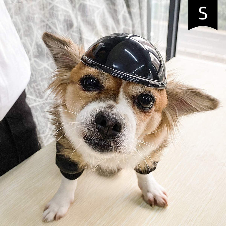 Hållbar skyddshjälm för hund, svart. Ger din aktivhund maximalt skydd vid fartfyllda aktiviteter.