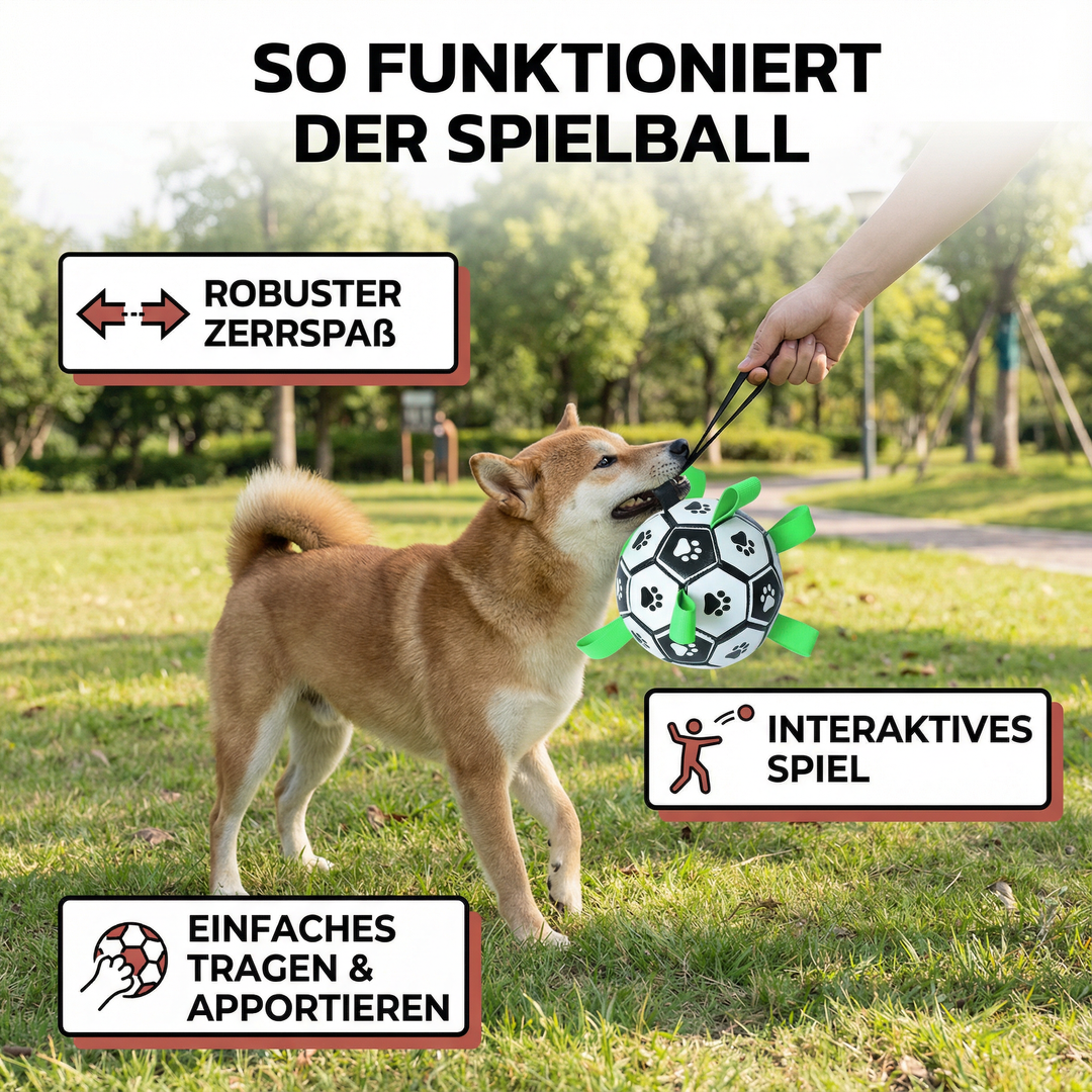 Interaktiv hundlekboll med robust handtag, idealisk för dragkamp, apport och aktiv hundträning.
