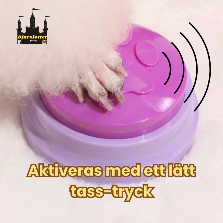 Hund trycker på talande knapp för att kommunicera önskemål. Perfekt för hundträning & mental stimulans.