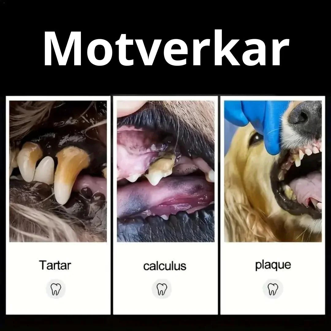 Hela paketet: 3 tandstensskrapor för hundar & katter. Idealisk för daglig munhygien & grooming.