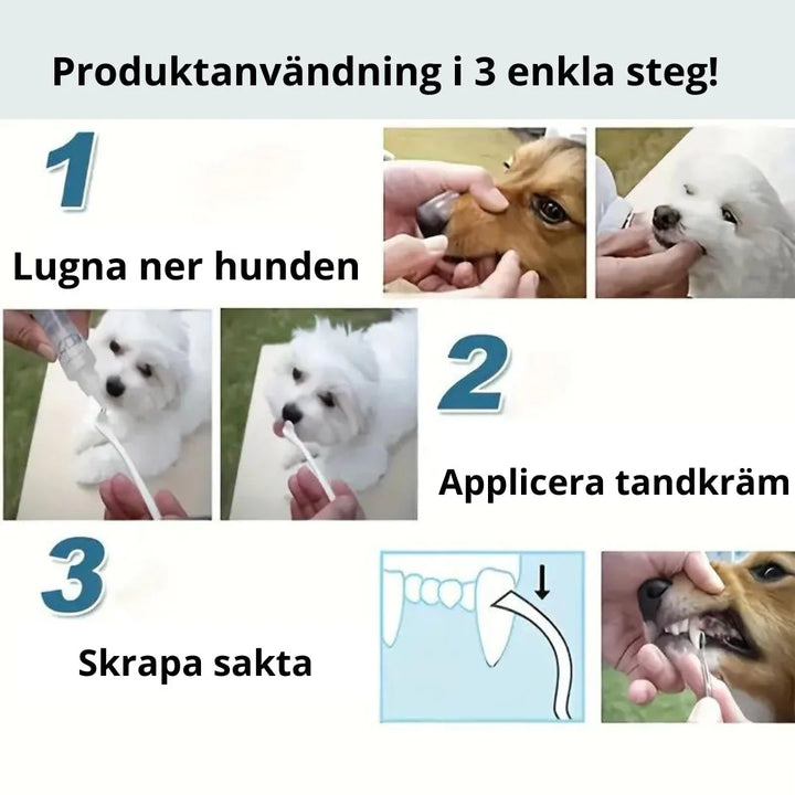 Verktyg för munhygien till hund & katt. Tandstensskrapan avlägsnar effektivt plack & förebygger tandproblem.