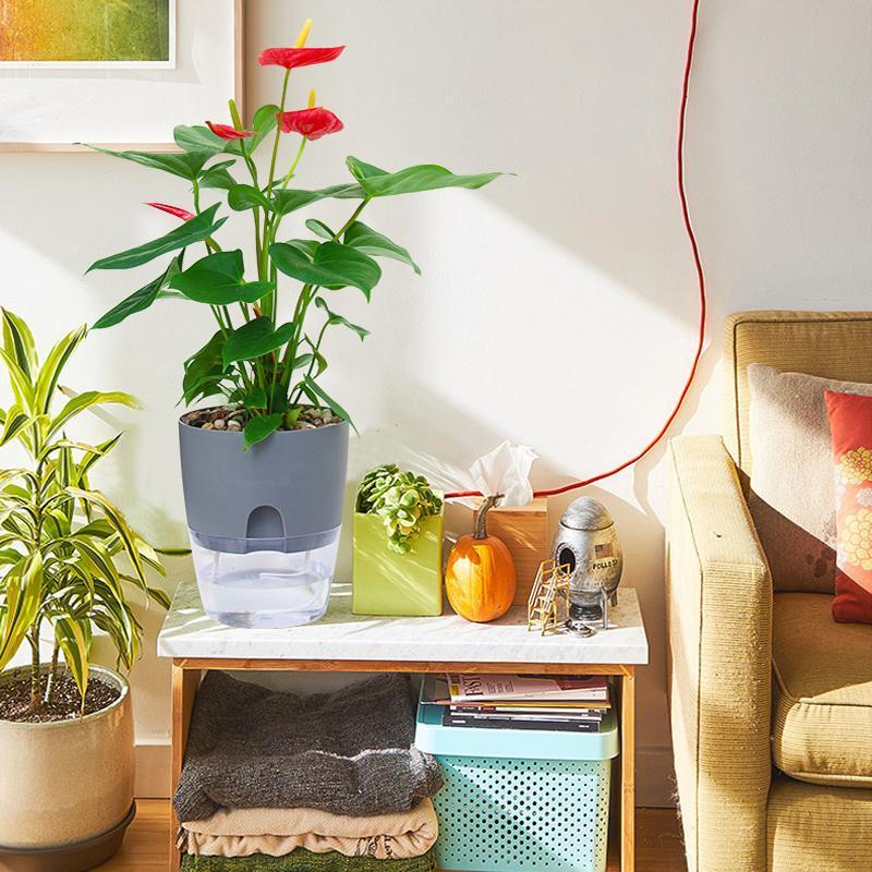 "Transparent självvattnande hydroponisk blomkruka, modern design med synliga rötter, idealisk för hem och kontor."