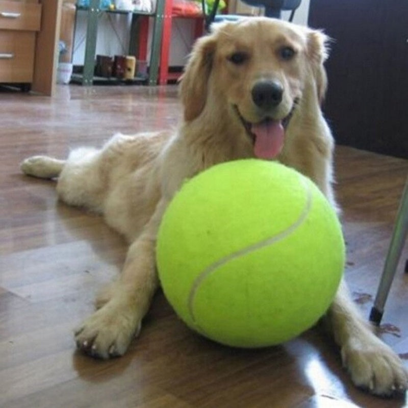 Tuggvänlig hundtennisboll i gummi, perfekt för aktiv apportlek och främjande av munhälsa.