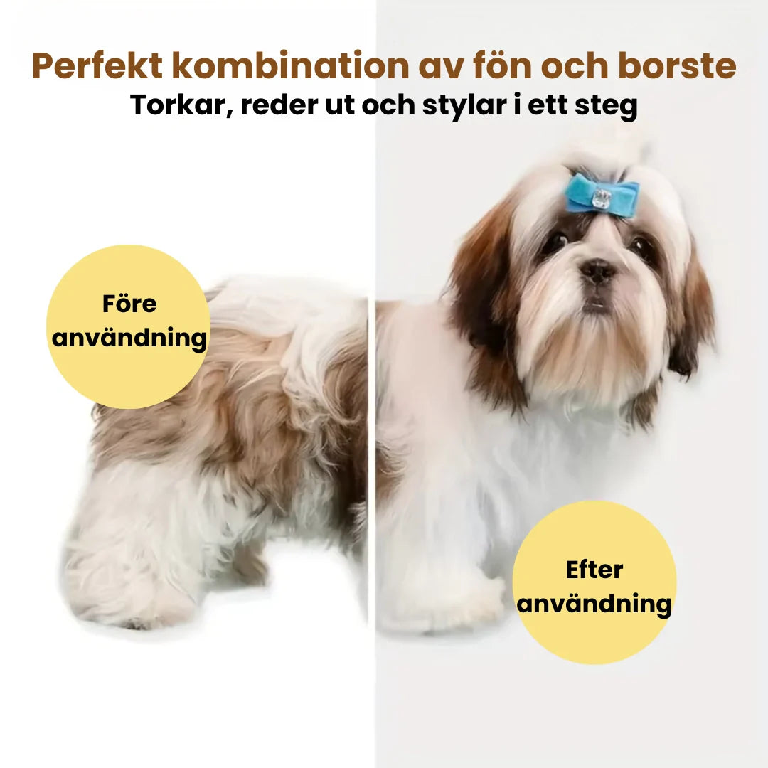 En glad hund får sin päls torkad och borstad med den tystgående 3-i-1 pälsfönen. Skonsam hundgrooming.