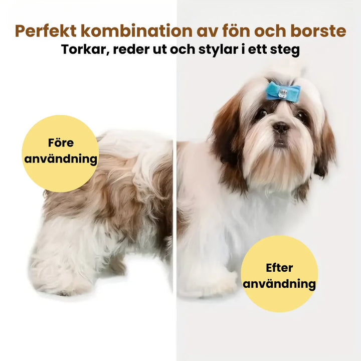 En glad hund får sin päls torkad och borstad med den tystgående 3-i-1 pälsfönen. Skonsam hundgrooming.
