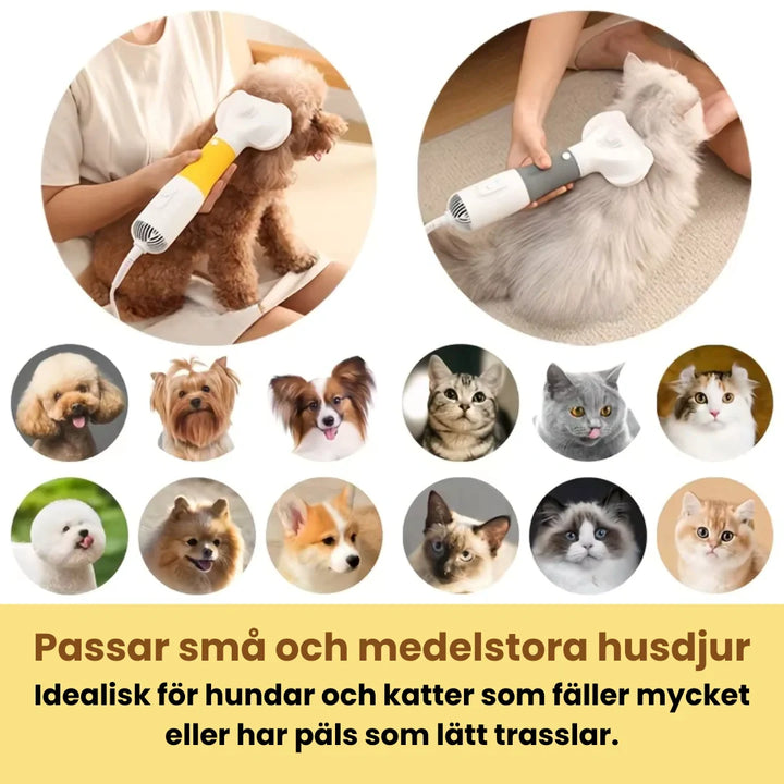 Tystgående pälsfön som minskar stress för husdjur. Effektiv pälsvård för hundar & katter med minimalt ljud.
