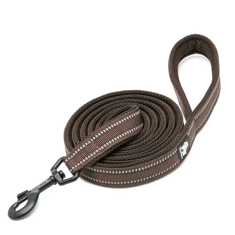 Unisex reflexkoppel för hund, med hög synlighet och säkerhet under kvällspromenader i mörkret.