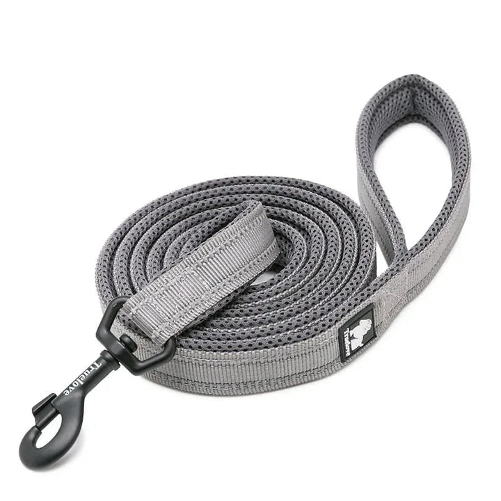 Produktbild av ett unisex reflexkoppel, redo för att ge din hund en säker och bekväm promenad.