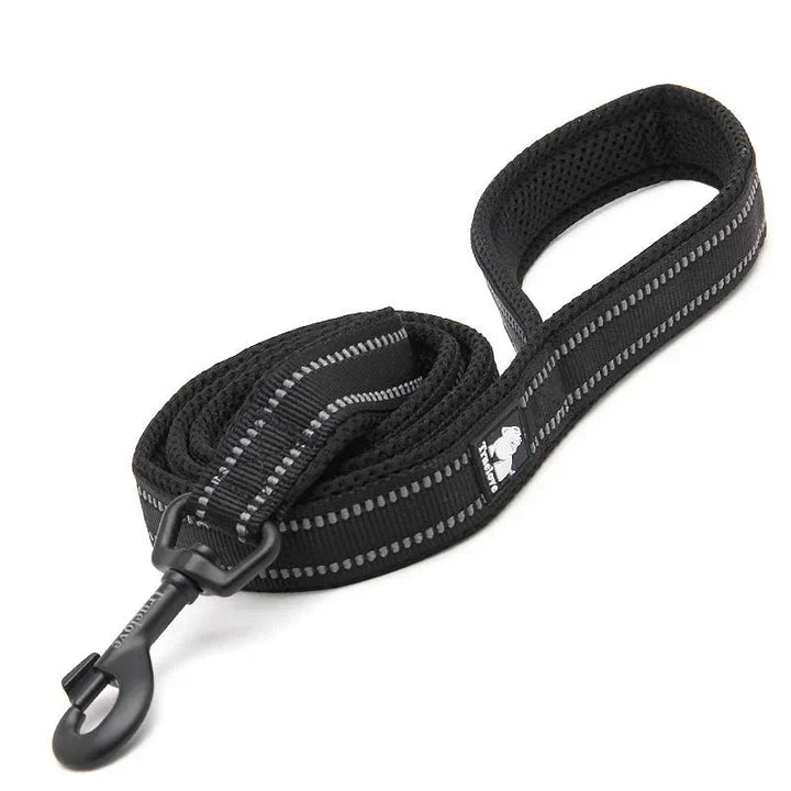 Reflekterande hundkoppel, idealiskt för säker promenad, syns väl i trafik och svagt ljus.