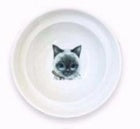 Siamesisk katt